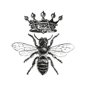 Queen Bee - Placemat  Design