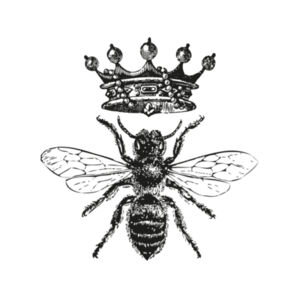Queen Bee - Can Cooler Wrap Design