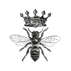 Queen Bee - Can Cooler Design