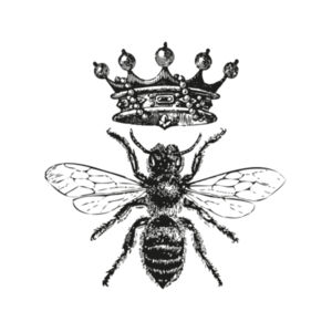 Queen Bee - Coaster - Square Hardboard Design