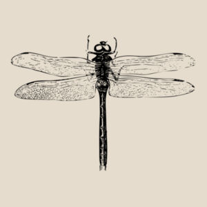 Dragonfly - Benelux Natural Wood Ornament Design
